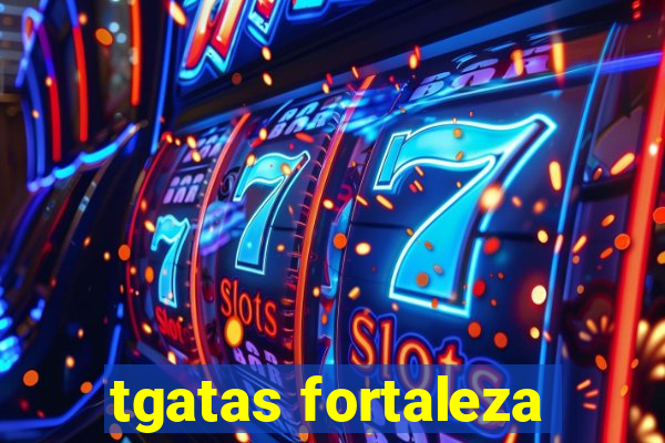 tgatas fortaleza